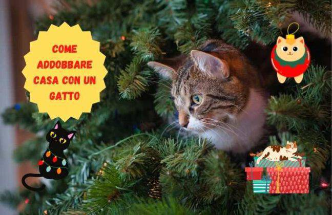Albero Di Natale E Gatti Gatto e albero di Natale: come addobbare casa senza rischi per Micio