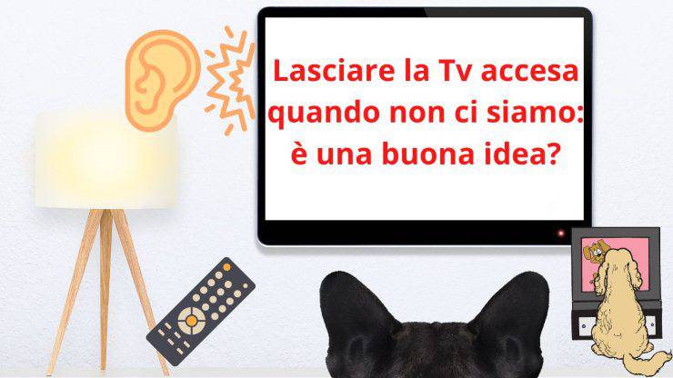 Cane e Tv accesa