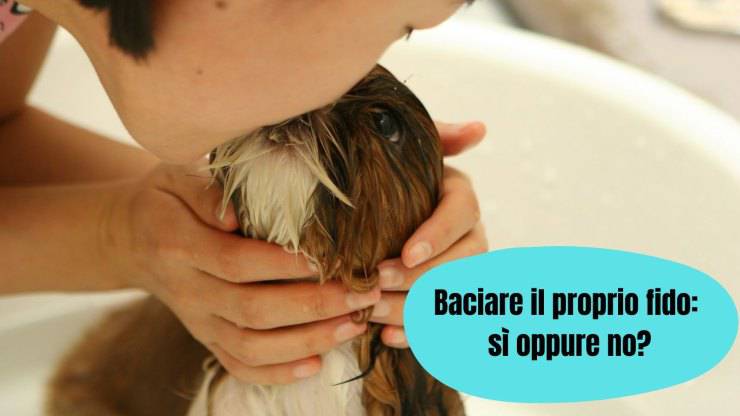 Baciare il cane in bocca è un'abitudine pericolosa