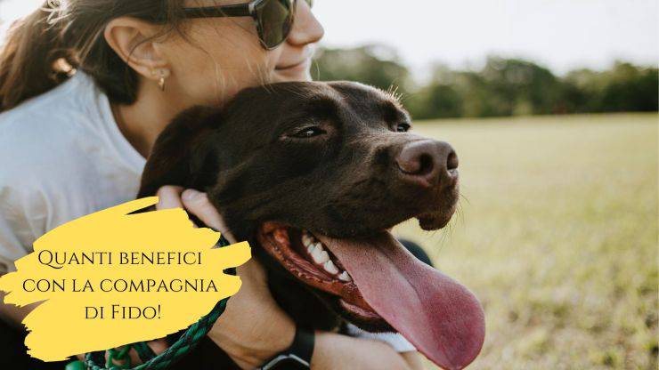 Avere un cane fa bene alla salute fisica e non solo