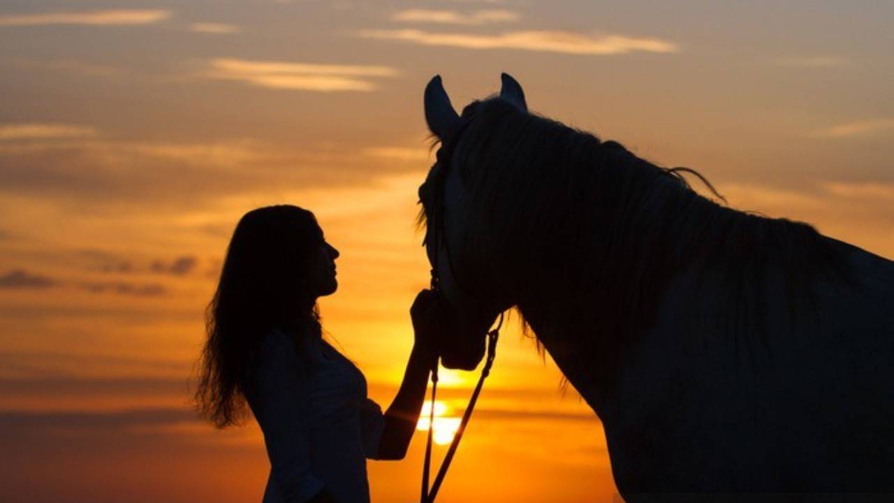 Passeggiata a cavallo durante il tramonto