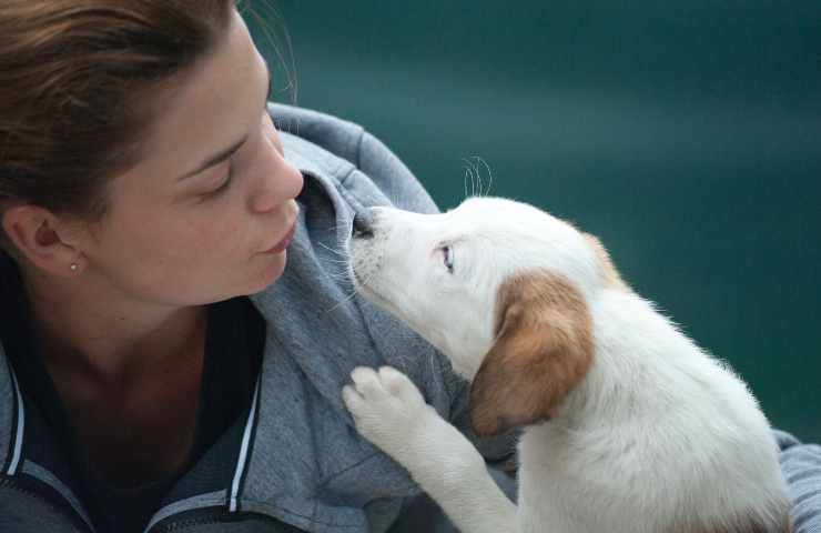 Cane dimostra affetto alla donna