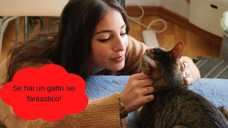 persone che hanno un gatto sono super fantastiche