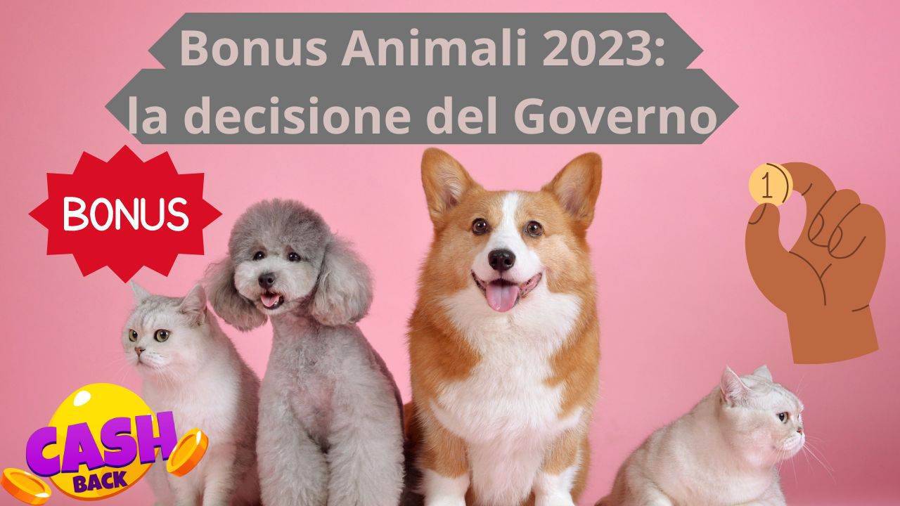 Bonus Animali 2023 cosa ha deciso il Governo e tutti i dettagli