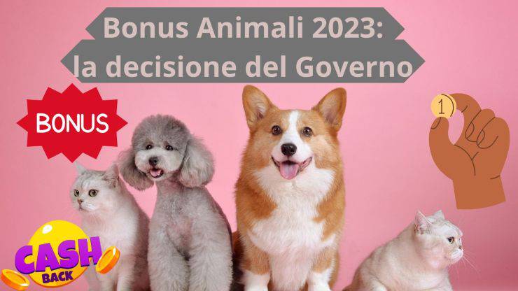 La decisione del Governo sul Bonus Animali del 2023