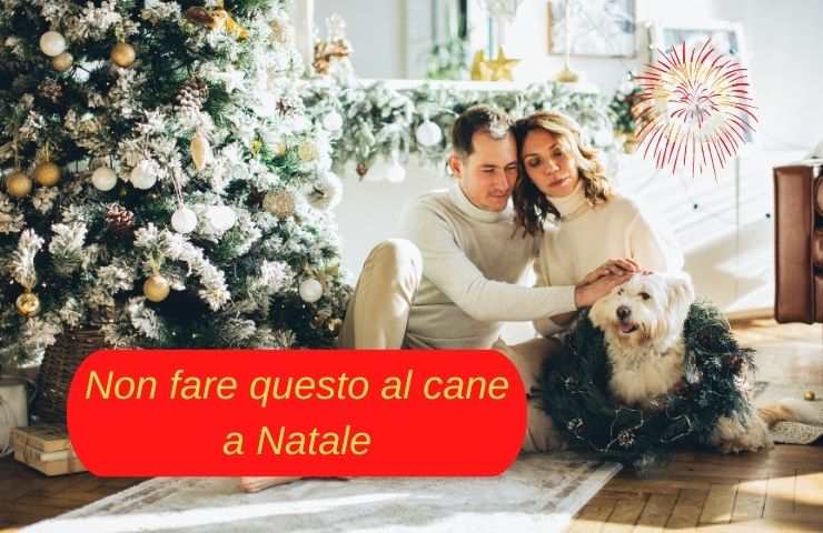 Cane con la famiglia a Natale