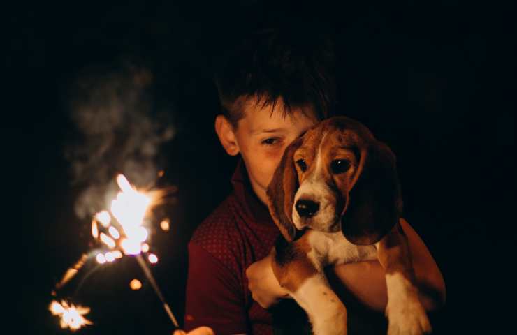 Cane in braccio al bambino