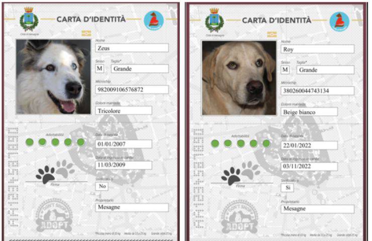 diritto identità adozione cagnolini