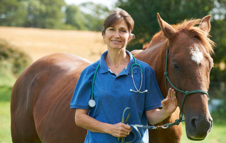 cavallo e veterinaria