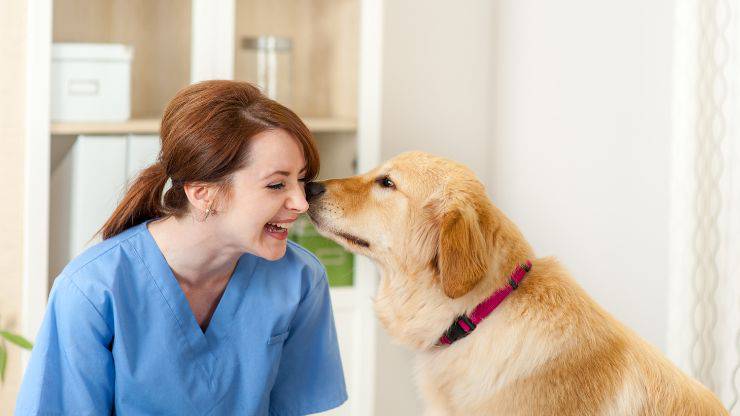 Come diventare veterinario (2)