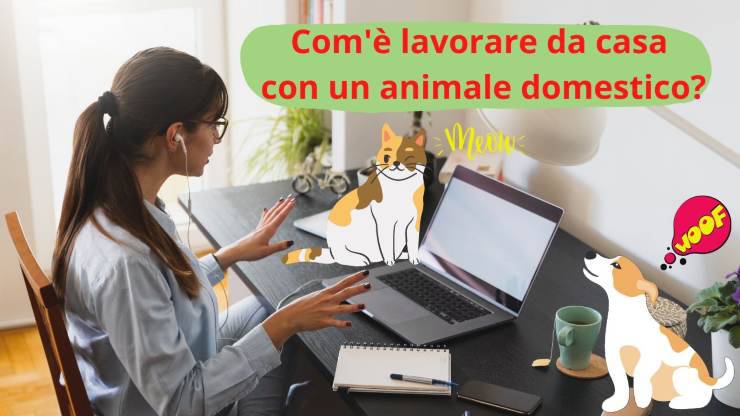 Lavorare con cane e gatto