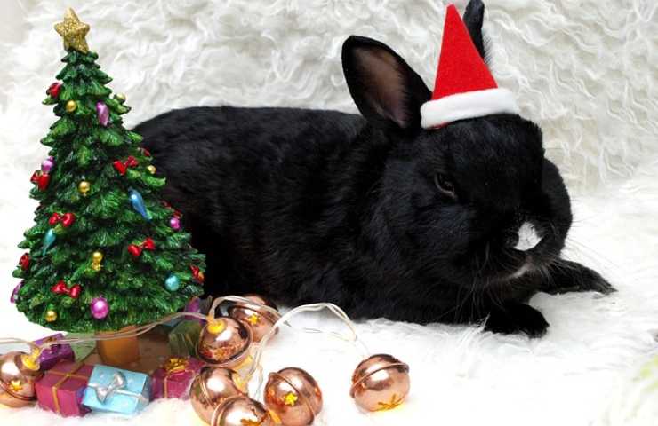 Coniglio e piccolo albero di Natale