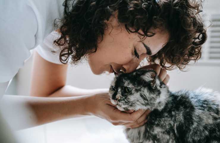 Gatto e donna affettuosi