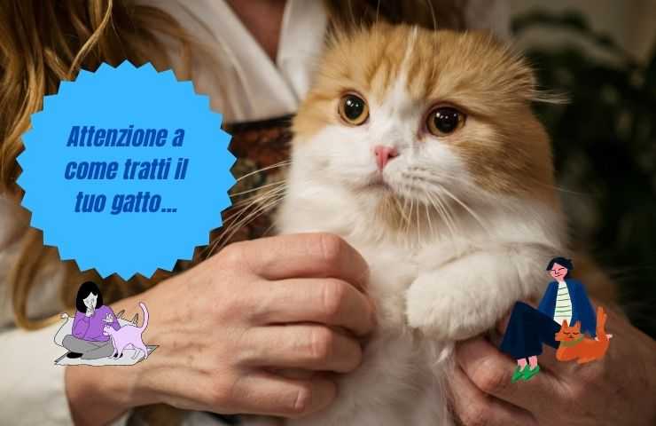 Possiamo influenzare il gatto