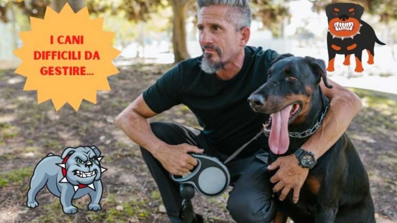 Il cane più pericoloso del mondo in assoluto è questo: ma la lista è lunga