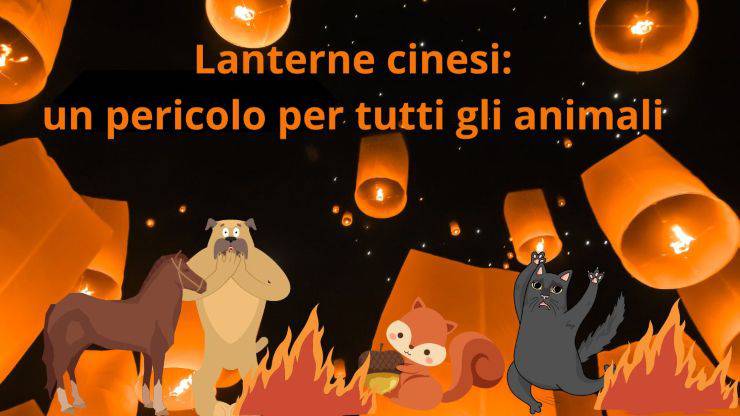 Lanterne cinesi a Capodanno