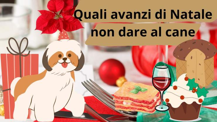 Cosa non dare da mangiare al cane a Natale