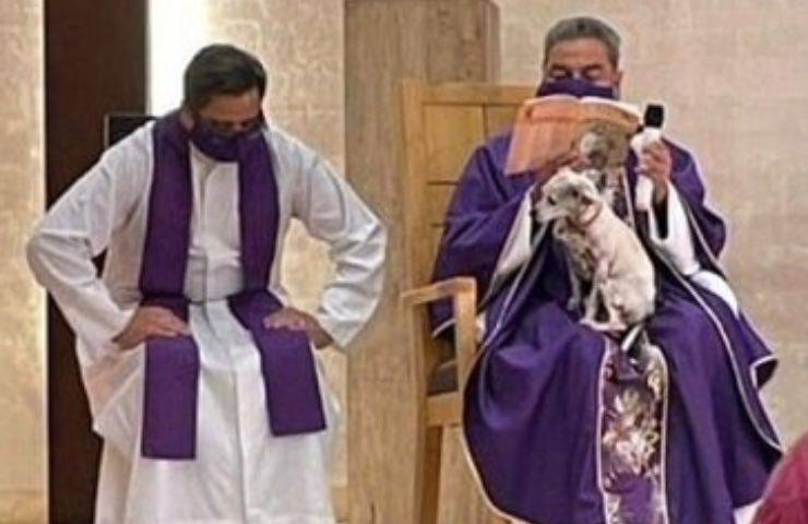 sacerdote celebra messa ginocchia
