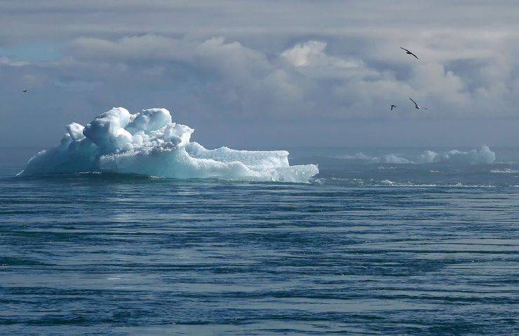 emissioni CO2 specie estinguerà