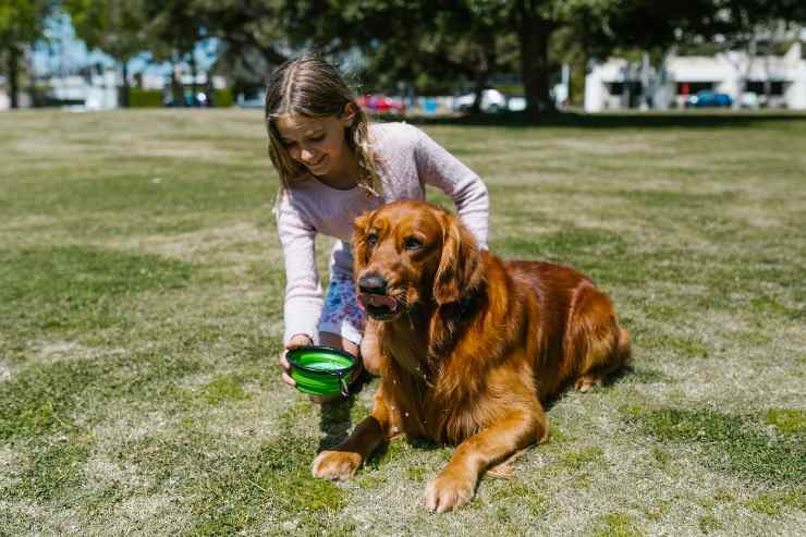 La comunicazione con il cane