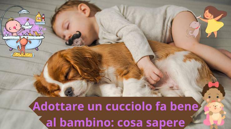 Cucciolo e bambino