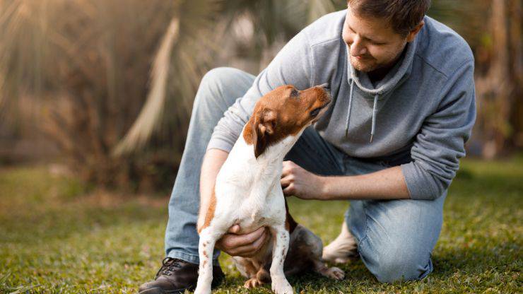 Migliorare la comunicazione con Fido