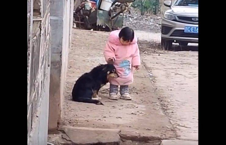 bambina protegge cane