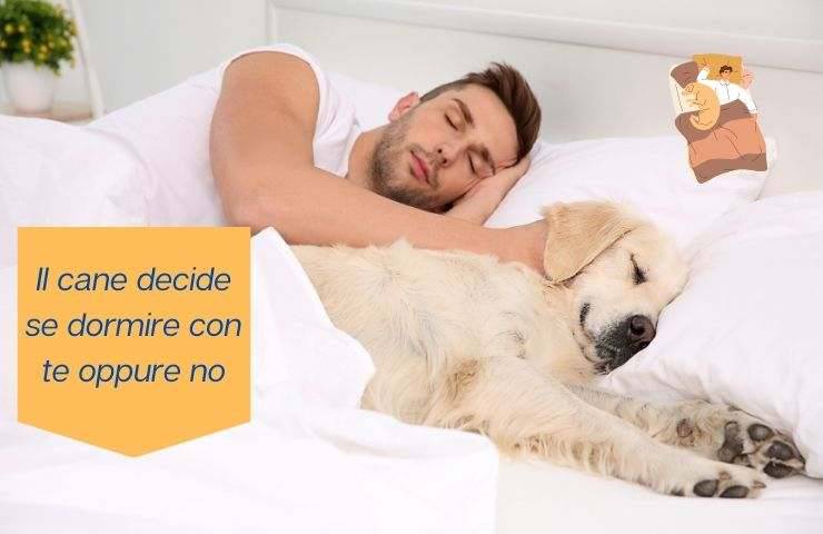 Cane dorme con il suo umano