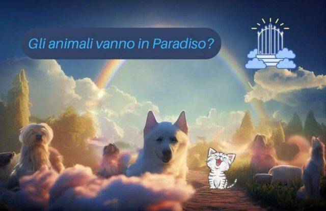 Cani e gatti vanno in Paradiso? Cosa dice la Chiesa sulla loro vita eterna