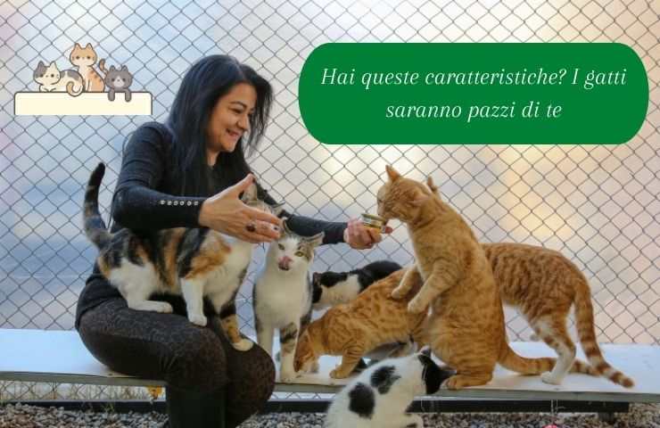 Donna con tanti gatti