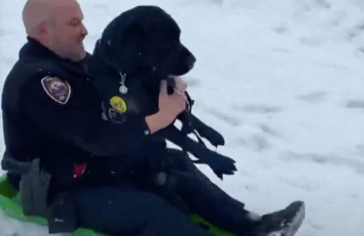cane gadget slitta polizia