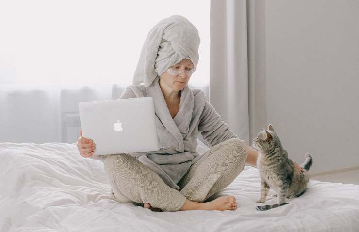 Gatto sul letto 