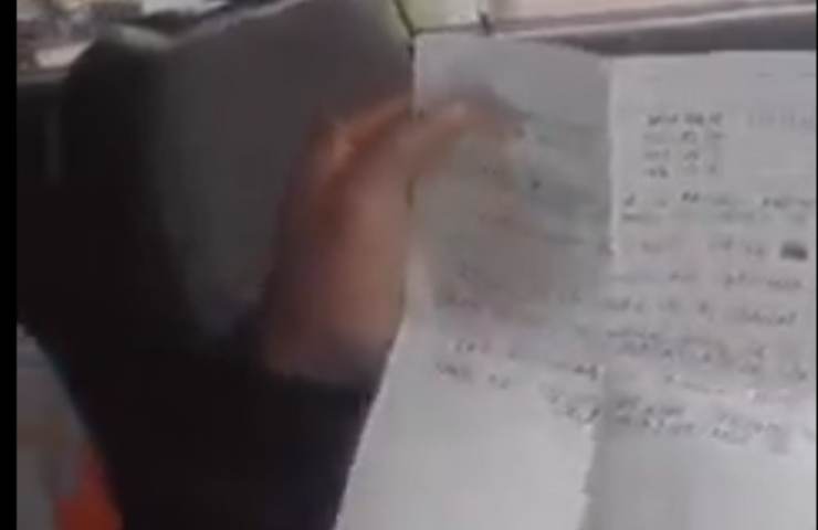 Abbandonato in taxi con tanto di istruzioni, il cucciolo di maltese diventa virale su Tik Tok (Screen Video)