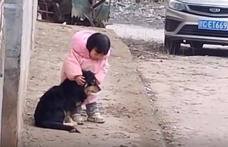 bambina protegge cane