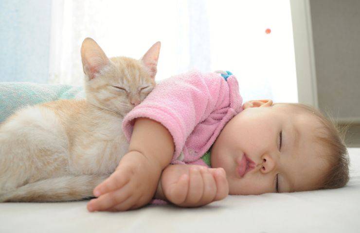 Gatto e neonato