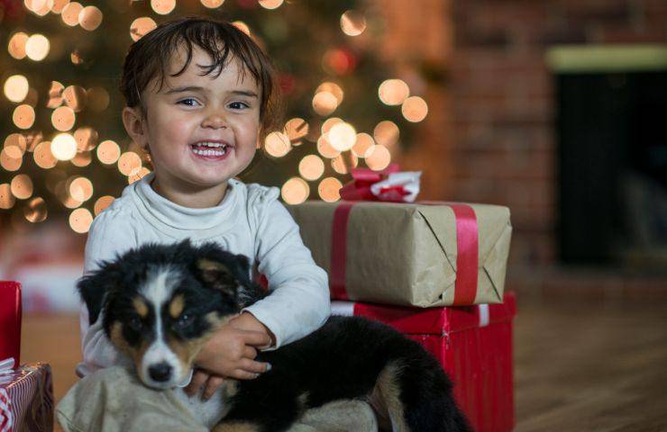 Cucciolo e bambino 