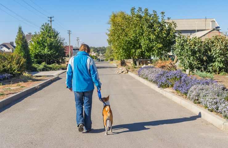 Passeggiare col cane