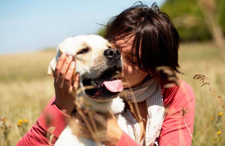 Cane innamorato della padrona