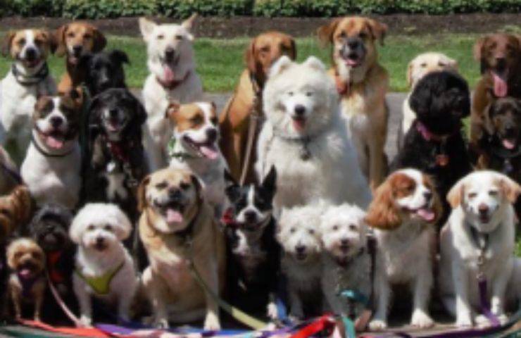 foto ricordo iniziativa dog-sitter