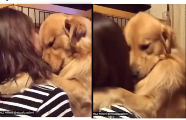Abbraccio cane adottato donna