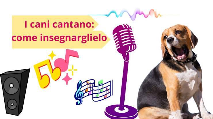 Il cane canta