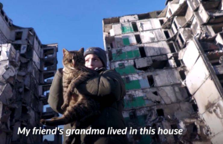 Ucraina bambina gattini guerra