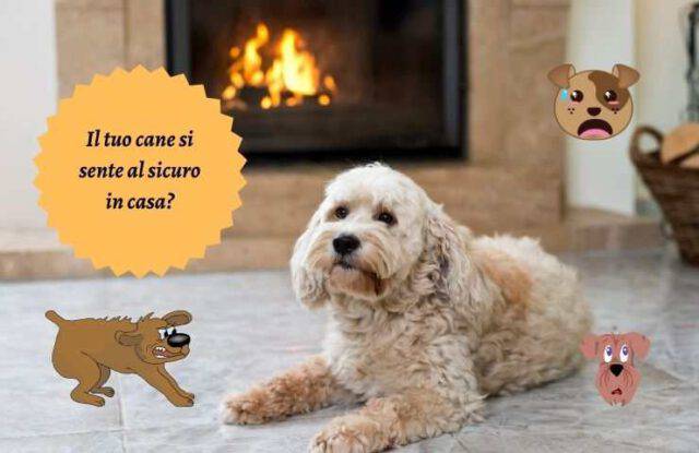 Sai se il cane si sente al sicuro in casa tua? Osserva questo per capirlo