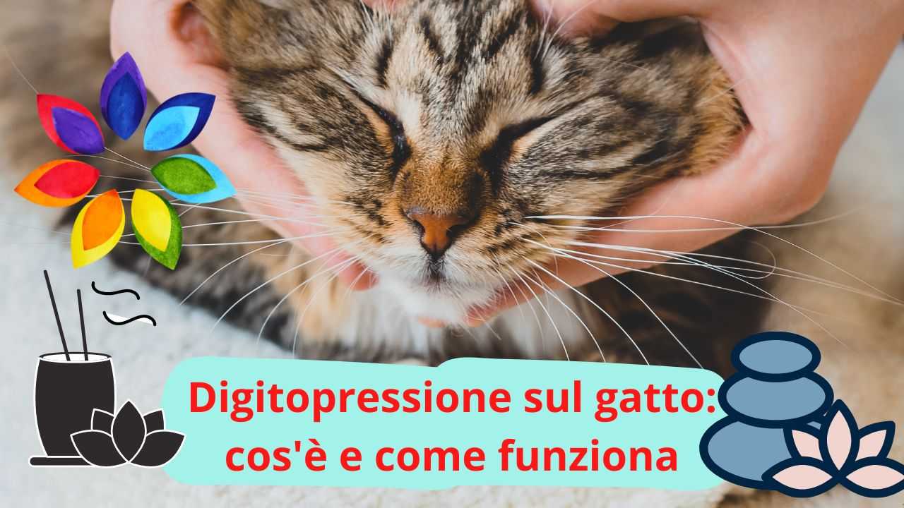 Targa decorativa per bagno, con scritta in lingua inglese Would Poop