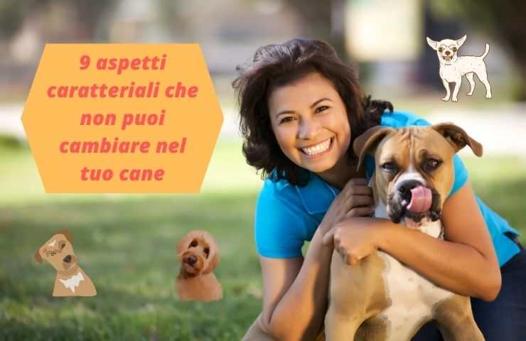 Le doti naturali del cane