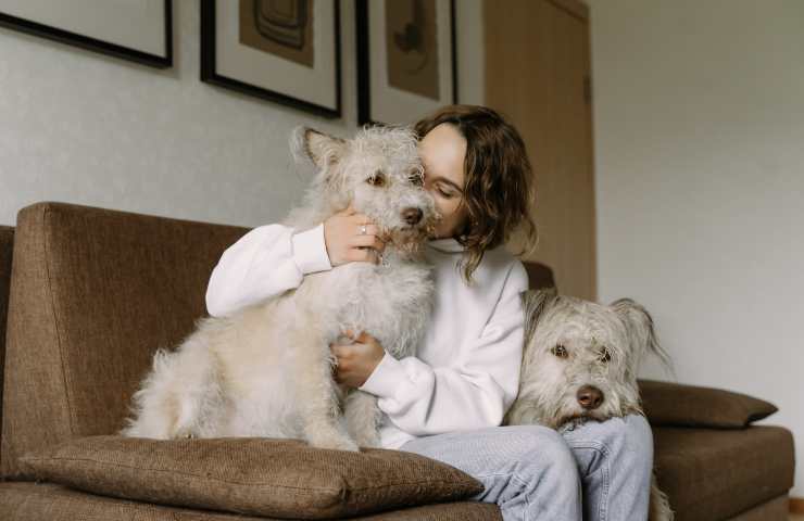Donna con cani sul divano