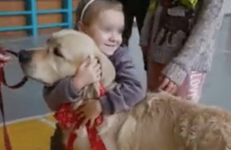 Perro ucraniano ayuda a los niños