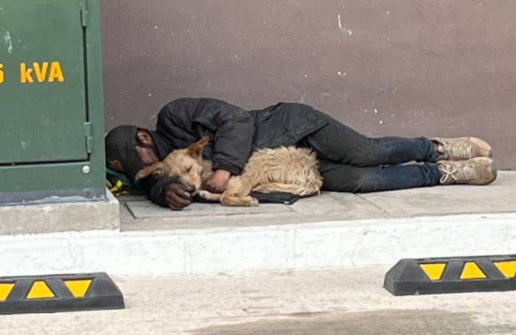 Perro sin hogar abrazándose en la calle