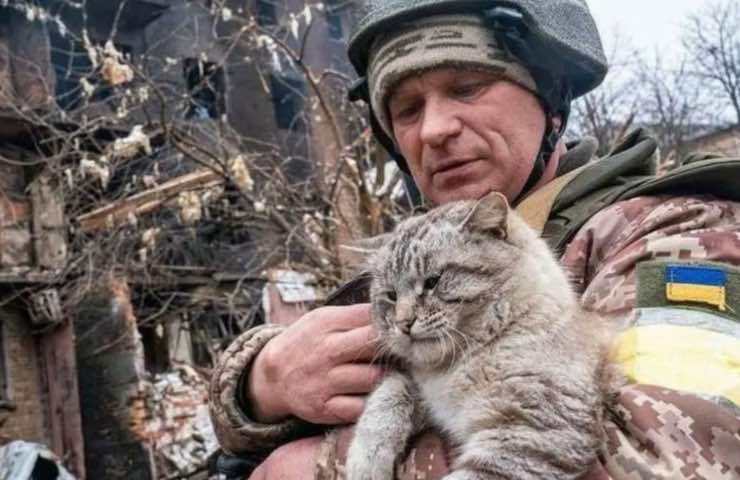 animali ucraina appello 200mila