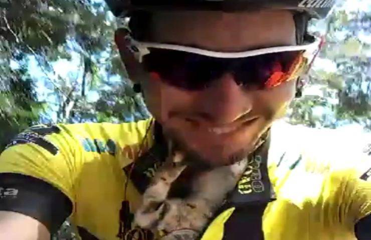Un ciclista salva a un gatito que le agradece a besos (Video)